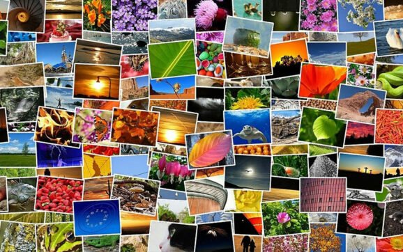 meilleure-banque-image-gratuite-2022