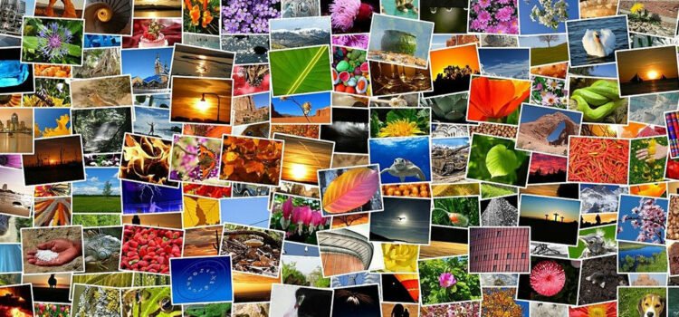 57 banques d’images gratuites et payantes [Classement complet]