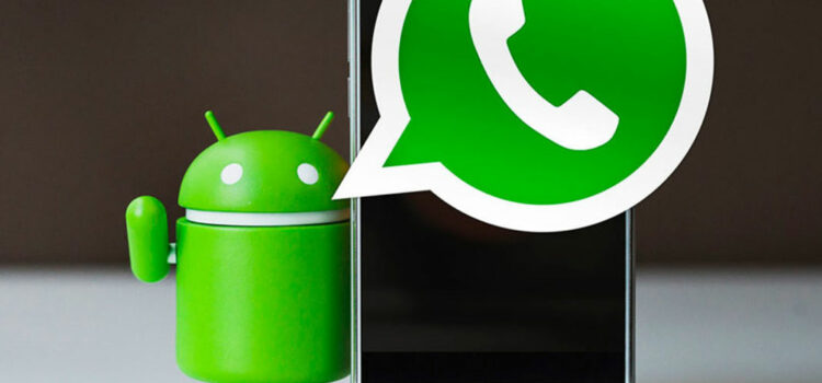 Je ne peux pas recevoir de messages WhatsApp, que faire ?
